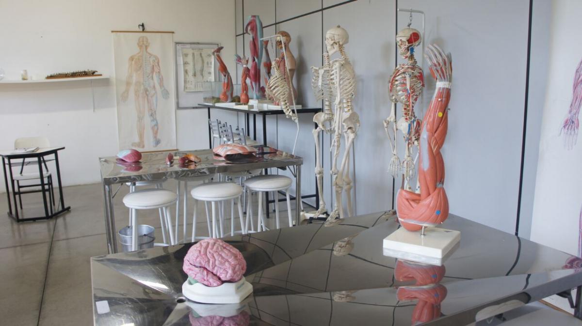 Laboratório de Anatomia.