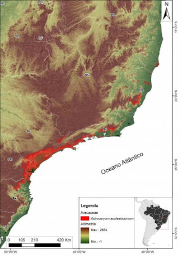 Mapa Mundi